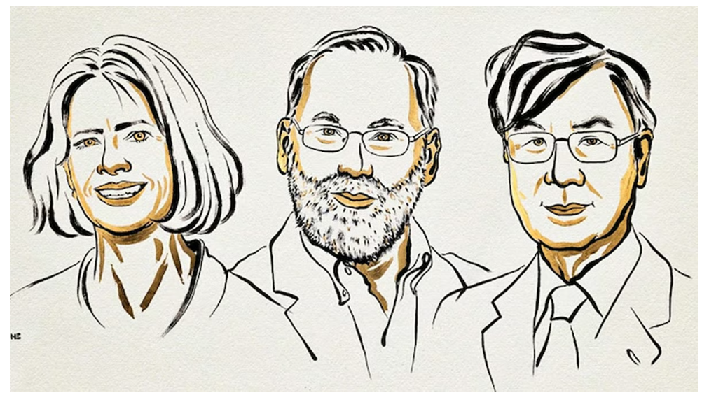 मानव शरीर की रोग प्रतिरोधक क्षमता पर चिकित्सा का नोबेल मैरी, फ्रेड और शिमोन को