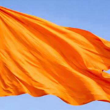 दिल्ली तुगलकाबाद घटना: शोभायात्रा के दौरान मस्जिद पर चढ़कर भगवा झंडा लहराया. दो अभियुक्तों की पहचान