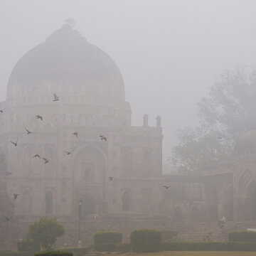दिल्ली हवाई अड्डे पर घना कोहरा, 27 उड़ानें रद्द; इंडिगो ने घरेलू नेटवर्क पर 59 उड़ानें रद्द की