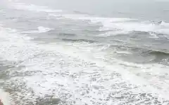 भूकंप के बाद जापान में आयी सुनामी! लगातार बज रहे सायरन, चेतावनी जारी