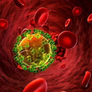 खतरनाक निपा वायरस की बंगाल में एंट्री? दो मरीज अस्पताल में भर्ती