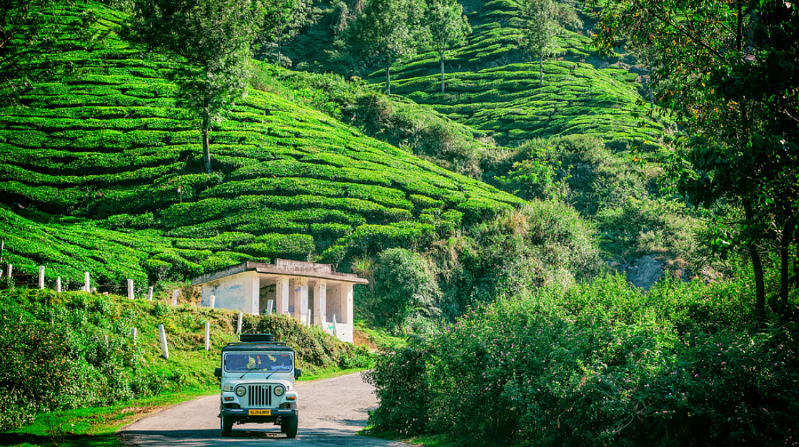 सर्दियों में घूम आएं केरल - हरे-भरे पहाड़ से लेकर सागर तक, यहां मिलेगा सब कुछ