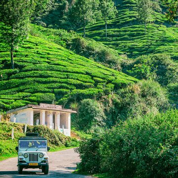 सर्दियों में घूम आएं केरल - हरे-भरे पहाड़ से लेकर सागर तक, यहां मिलेगा सब कुछ