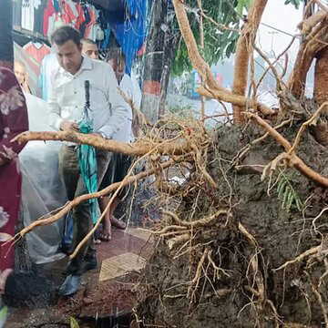 तेज बारिश और आंधी से कोलकाता में जनजीवन अस्त-व्यस्त, भारी बारिश का पूर्वानुमान