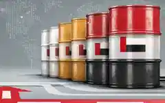 OPEC से बाहर हुआ UAE, क्या खुल गया भारत में सस्ते तेल का रास्ता ?