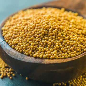 बसंती पूजा के दौरान एक मुट्ठी हल्दी-सरसों आपकी किस्मत बदल सकती है, जानें तरीका