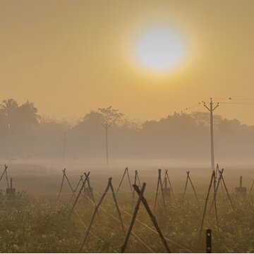 बंगाल में शीतलहर : उत्तर बंगाल में बर्फबारी की संभावना, कितना गिरा दक्षिण बंगाल का पारा?