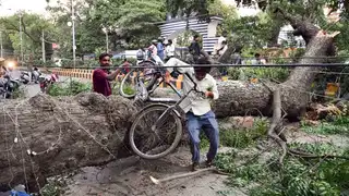उत्तर प्रदेश में भीषण आंधी-बारिश से तबाही, कई जिलों में जनजीवन अस्त-व्यस्त