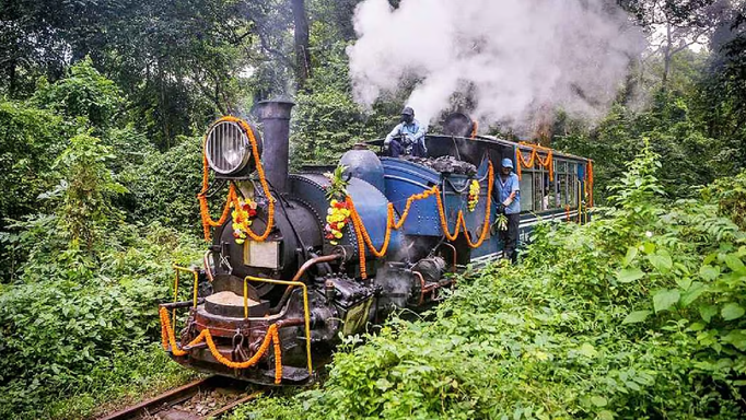 टॉय ट्रेन में बैठकर जंगल सफारी - दार्जिलिंग का नया आकर्षण, क्या है Timing?