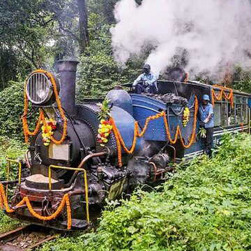 टॉय ट्रेन में बैठकर जंगल सफारी - दार्जिलिंग का नया आकर्षण, क्या है Timing?