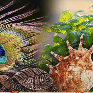 नववर्ष आने से पहले घर में लाएं ये 4 चीज़ें, नए साल में आपके घर में आएंगी लक्ष्मी