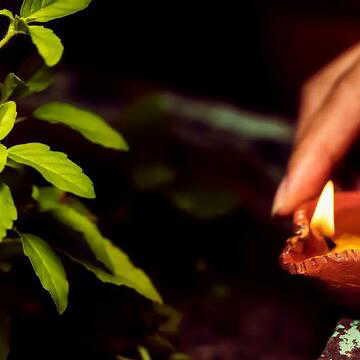 कौन पूजा में किस प्रकार का तेल डालकर दीया जलाना है, इसका भी नियम है! वास्तुशास्त्र क्या कहता है ?