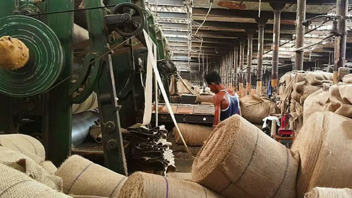 जूट बीज के निर्यात में संकट, देश के जूट मिल मालिकों के संगठन ने की तत्काल हस्तक्षेप की मांग