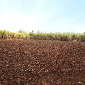राज्य ने दो औद्योगिक संस्थाओं को 150 एकड़ जमीन की मंजूरी दी