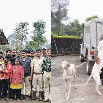 चमत्कार! बाघ के अड्डे के पास मिली 2 साल की बच्ची, पालतू कुत्ते ने बचाई जान