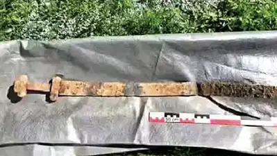 1300 साल पुरानी वाइकिंग तलवार की खोज, 6 साल के बच्चे ने खेत में पाया खजाना