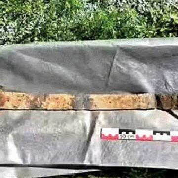 1300 साल पुरानी वाइकिंग तलवार की खोज, 6 साल के बच्चे ने खेत में पाया खजाना