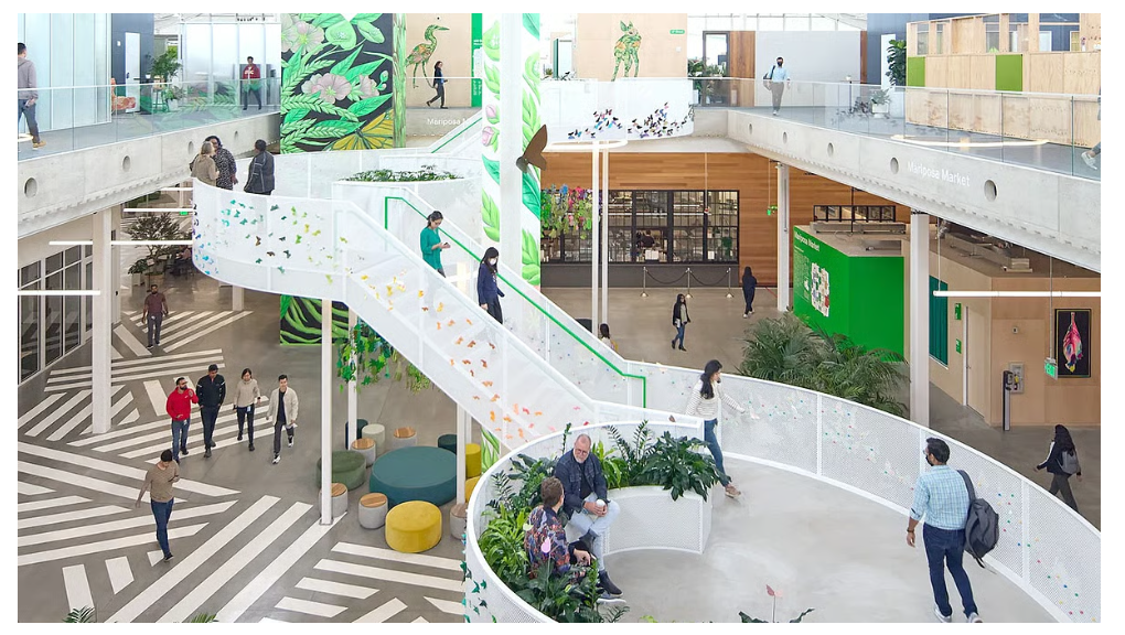 Google में नौकरी, मासिक वेतन 28 लाख, फिर भी छोड़ा काम, जानें क्यों?