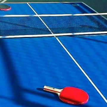 आंदोलन-धरने के बीच राज्य टीटी को लेकर सिलीगुड़ी में रोष, बिन खेले ही लौट रहे बच्चे