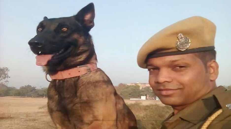 कागज के एक टुकड़े ने खोला हत्या का राज, स्निफर डॉग की मदद से 3 गिरफ्तार