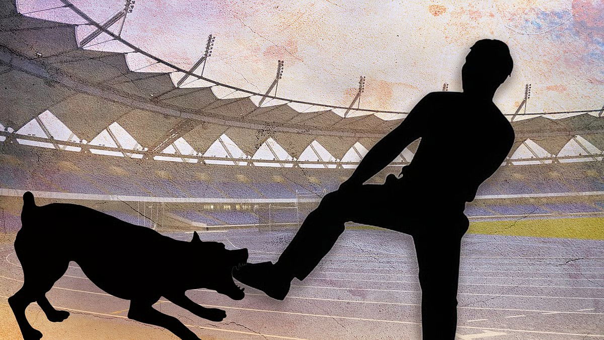 भारत में वर्ल्ड पैरा एथलेटिक्स चैम्पियनशिप: दो विदेशी कोच को कुत्तों ने काटा