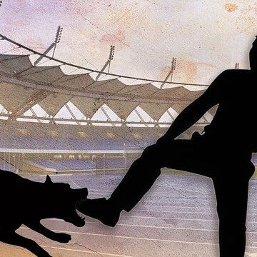 भारत में वर्ल्ड पैरा एथलेटिक्स चैम्पियनशिप: दो विदेशी कोच को कुत्तों ने काटा