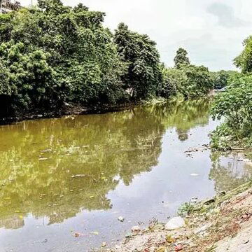 जल्द ही स्वच्छ दिखेगा टाली नाला का पानी, KMC ने उठाया कौन सा महत्वपूर्ण कदम? जानिए यहां