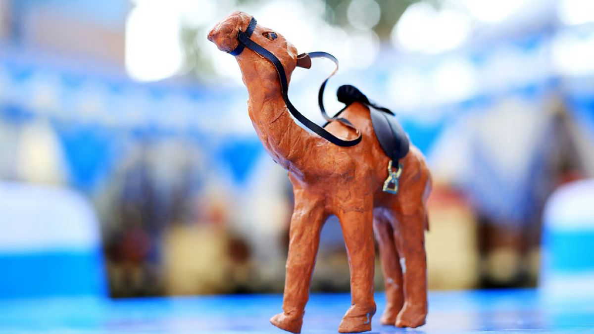 खुशी और संपत्ति चाहिए ? घर में ऊँट रखने से सब ठीक हो जाता है