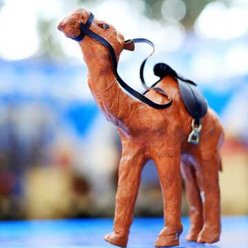 खुशी और संपत्ति चाहिए ? घर में ऊँट रखने से सब ठीक हो जाता है