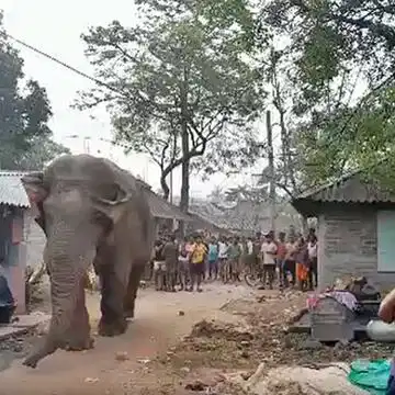 कड़ी सुरक्षा के बावजूद झारग्राम में मतदान केंद्र के सामने हाजिर हुआ रामलाल