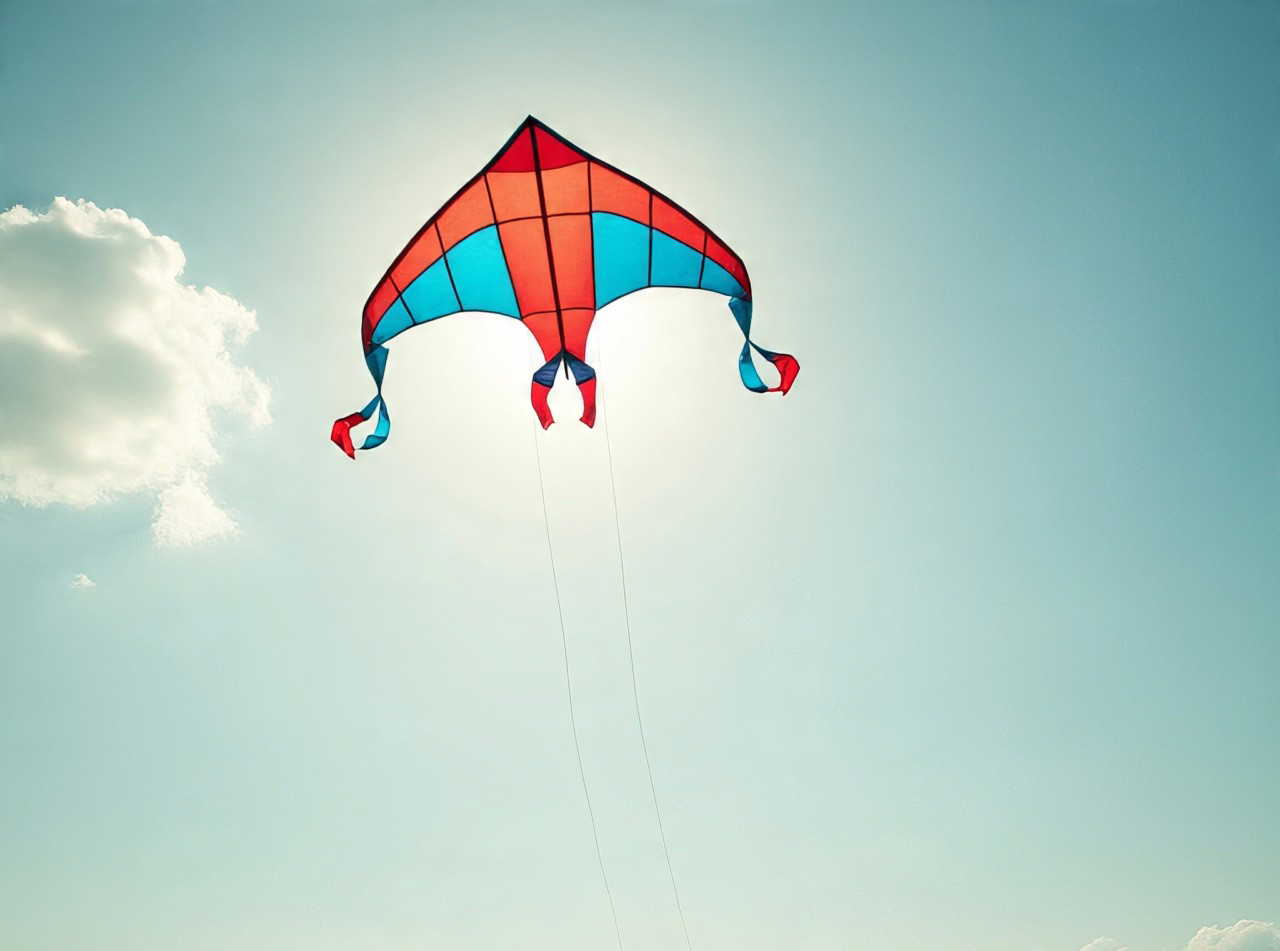 प्रतिबंधित चीनी पतंग के तार से शिक्षक की दर्दनाक मौत