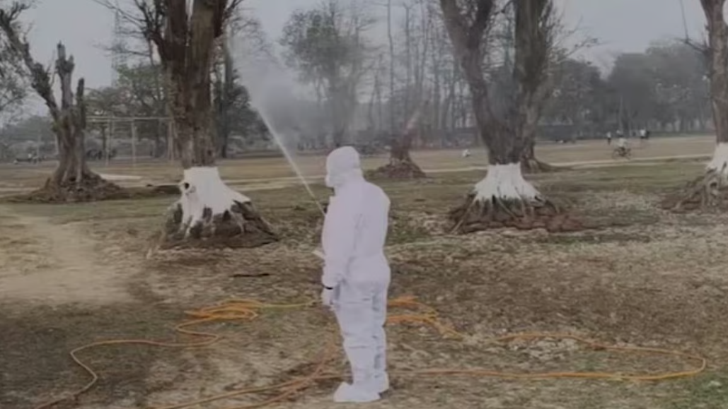 150 कौवों की मौत से प्रशासन में हड़कंप, बर्ड फ्लू रोकने के लिए विशेष सतर्कता जारी