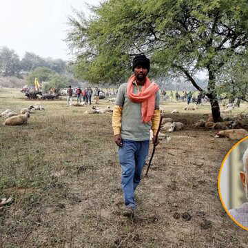 लखनऊ में 170 भेड़ों के मरने का मामला गरमाया, सीएम योगी ने प्रति भेड़ 10 हजार मदद का किया ऐलान