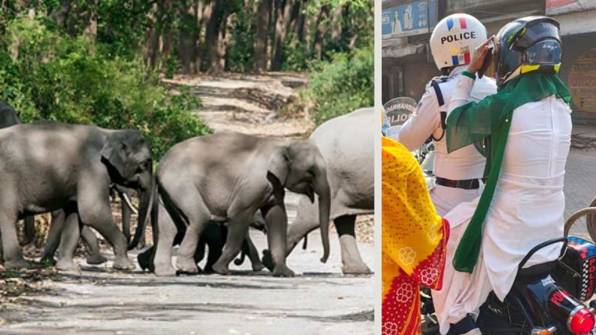 कहीं 'बाइक सर्विस', कहीं वन विभाग का 'ऐरावत' और कहीं माध्यमिक परीक्षार्थियों के मदद के लिए आगे आयी पुलिस