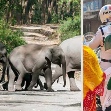 कहीं 'बाइक सर्विस', कहीं वन विभाग का 'ऐरावत' और कहीं माध्यमिक परीक्षार्थियों के मदद के लिए आगे आयी पुलिस