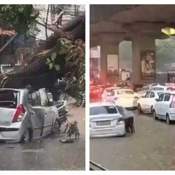 हैदराबाद में भारी बारिश से हालात बेकाबू, जलभराव और ट्रैफिक जाम ने रोकी रफ्तार