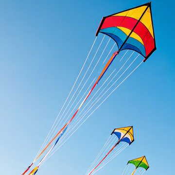 संक्रांति से पहले हैदराबाद में ‘चाइनीज मांझे’ पर सख्त कार्रवाई