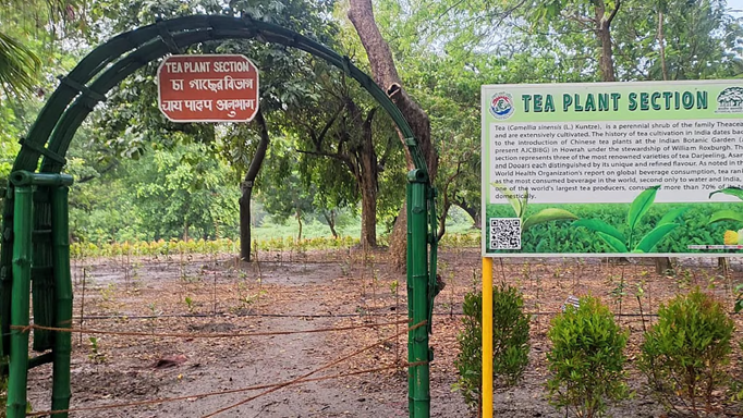 बोटानिक गार्डन में खुला 'नक्षत्र वाटिका' - ज्योतिषशास्त्र और प्रकृति प्रेमी दोनों के लिए महत्वपूर्ण, जानिए कैसे?