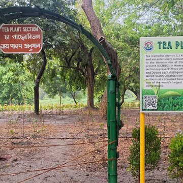 बोटानिक गार्डन में खुला 'नक्षत्र वाटिका' - ज्योतिषशास्त्र और प्रकृति प्रेमी दोनों के लिए महत्वपूर्ण, जानिए कैसे?