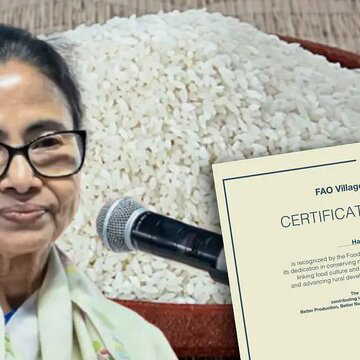 गोविंदभोग और खास किस्म के चावल को मिली इंटरनेशनल पहचान, ‘सॉयल क्रिएशन’ प्रोजेक्ट को यूनाइटेड नेशंस की मुहर