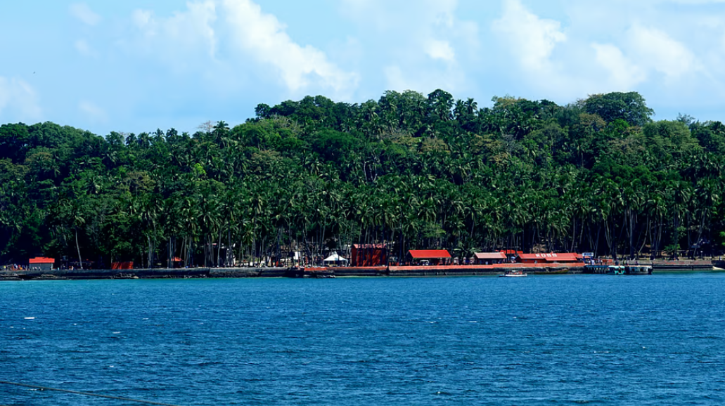 अनजाना इलाका खतरे में? ग्रेट निकोबार में 80 हजार करोड़ की परियोजना के लिए साढ़े आठ लाख पेड़ कटेंगे
