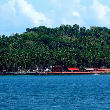 अनजाना इलाका खतरे में? ग्रेट निकोबार में 80 हजार करोड़ की परियोजना के लिए साढ़े आठ लाख पेड़ कटेंगे