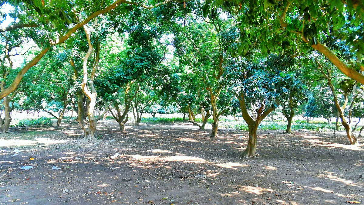 नैहाटीः प्यार करने पर युवक से ऐसी बर्बरता…? विधायक की अपील पर पुलिस एक्शन में