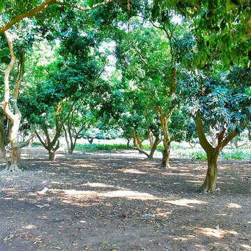 नैहाटीः प्यार करने पर युवक से ऐसी बर्बरता…? विधायक की अपील पर पुलिस एक्शन में