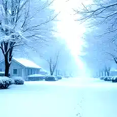 जापान में भारी बर्फबारी से तबाही, 2 मीटर तक जमी बर्फ, सड़कें बंद और कई जानें गई