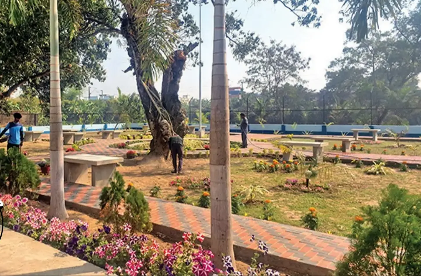 मरीजों को 