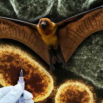 निपाह वैक्सीन: सफल ट्रायल, क्या जल्द ही उपलब्ध होगी?