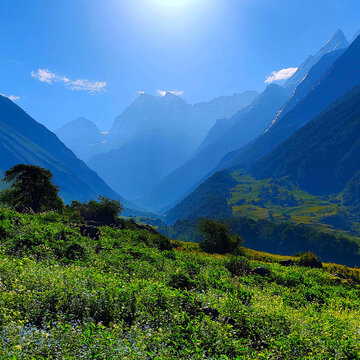 खुल गयी है उत्तराखंड की Valley of Flowers, जानिए परमिट से लेकर ट्रेकिंग का पूरा रूट