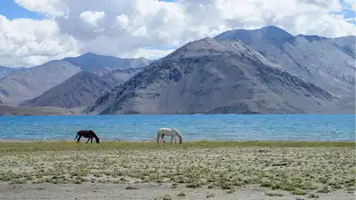 लद्दाख घूमने के लिए बिहार सरकार से पाएं ₹20 हजार तक की वित्तीय सहायता, क्या है सिंधु दर्शन योजना? जाने Details