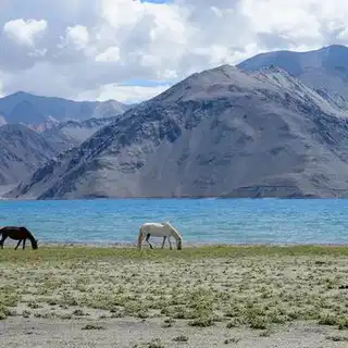 लद्दाख घूमने के लिए बिहार सरकार से पाएं ₹20 हजार तक की वित्तीय सहायता, क्या है सिंधु दर्शन योजना? जाने Details